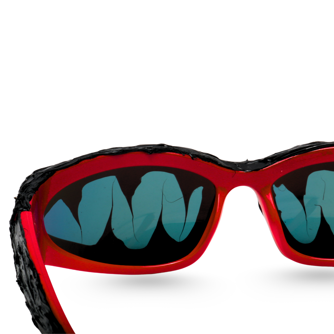 Carbon Sunglasses