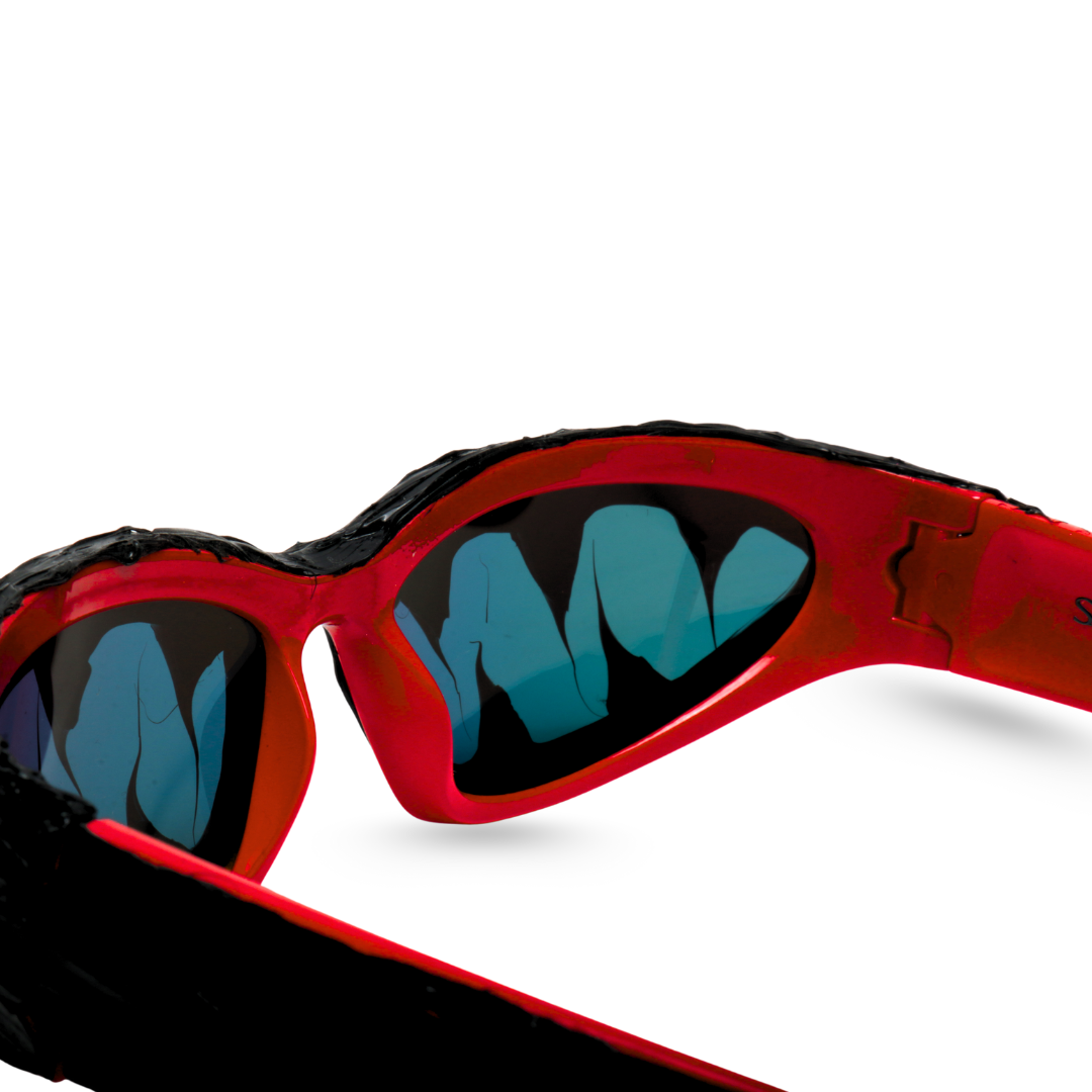 Carbon Sunglasses